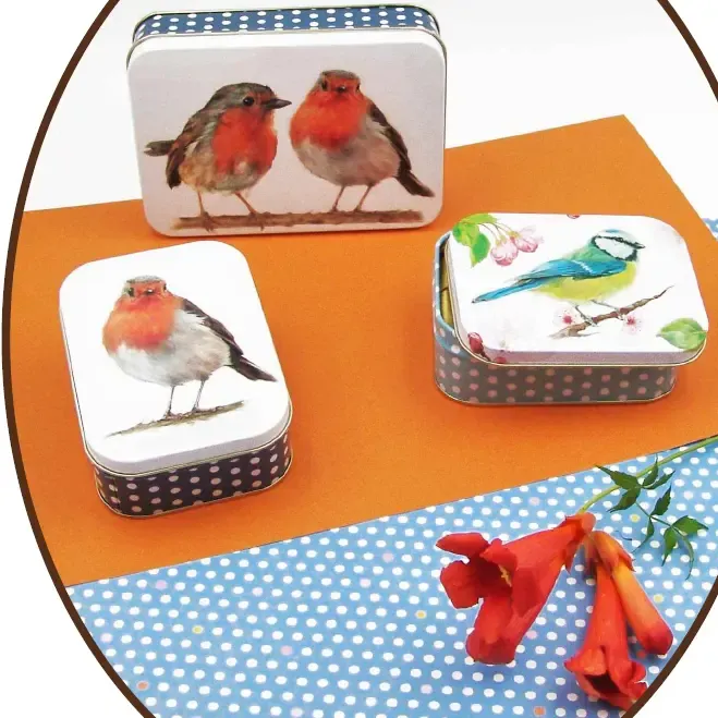 Lata 6 Bombons - Birds