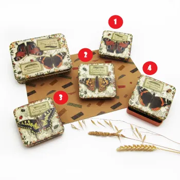 Lata 5 Bombons - Nostalgia Butterflies