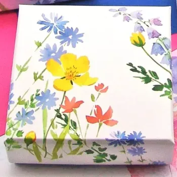 Caixa 9 Bombons - Wild Spring