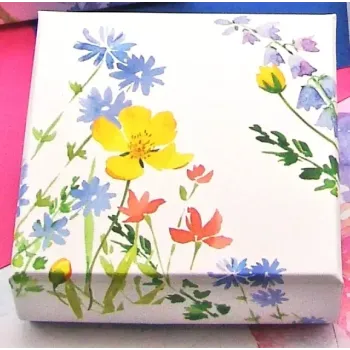 Caixa 9 Bombons - Wild Spring